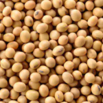 Farming of Cotton,Castor Seed,Urad,wheat, soyabean.