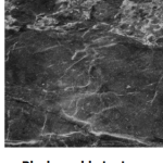 Mfg. of Granite slabs & Tiles