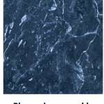 Mfg. of Granite slabs & Tiles