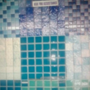 Green Granite Slab & Other Products