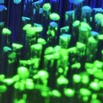 Phthalocyanine Pigments