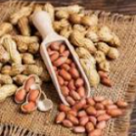 Farming of Groundnut