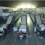 Food Processing Machine