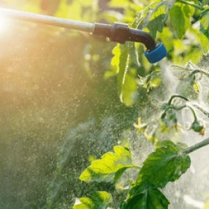 Pesticides & Fertilizer