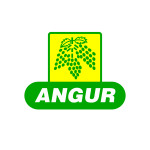 ANGUR PULSES LLP
