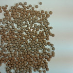 Fertilizers
