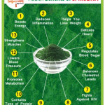 Spirulina farm