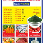 Spirulina farm