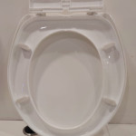 Sanitary wares