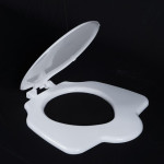 Sanitary wares