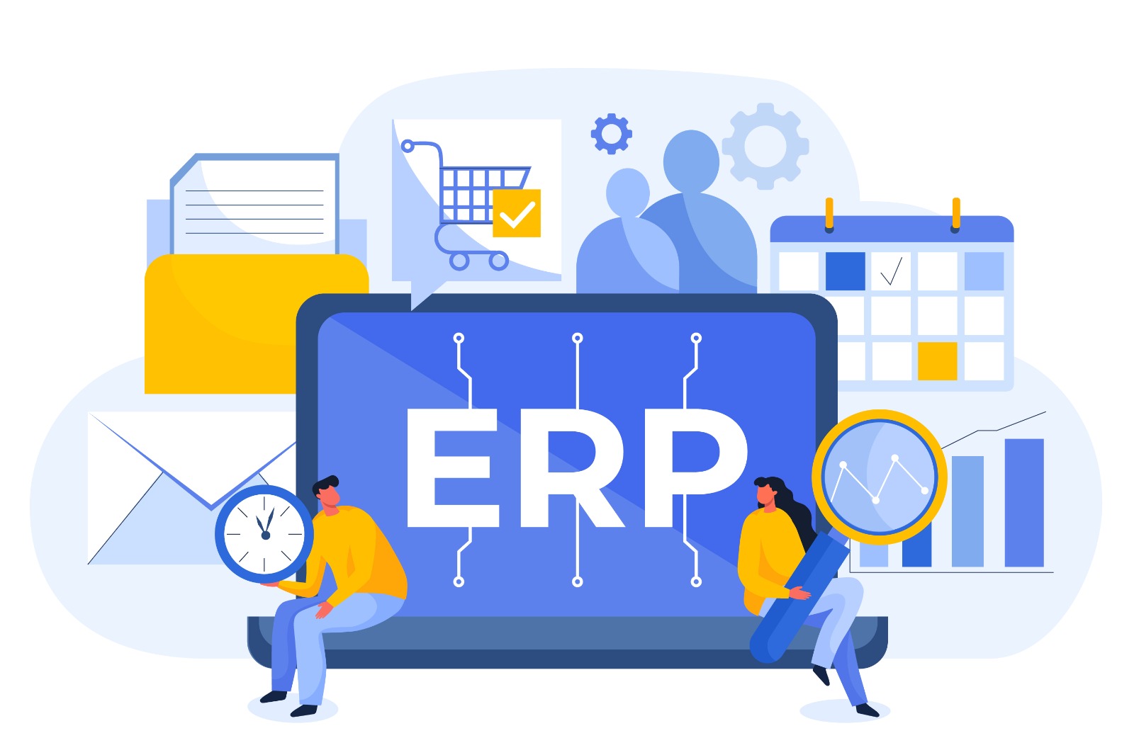 Custom ERP software devlopment services