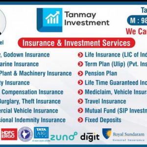 INSURANCE SERVICES & INVESTMENT