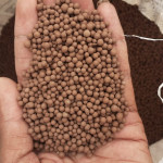 Clay minerals