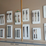 Plywood & Hardware