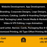 Web Developer