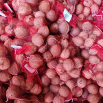 Import & Export company