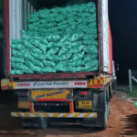 Import & Export company