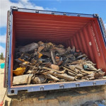 Import & Export company