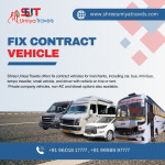 Tours & Travels