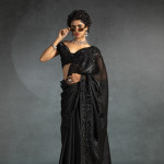 Stitches Blouse & Saree