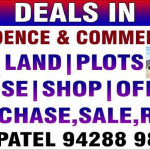 Real Estate Broker