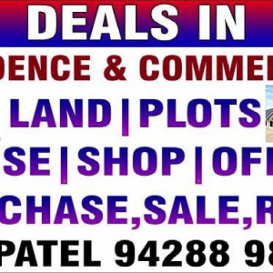 Real Estate Broker
