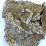 Cotton Seed, Cotton Seed Cake, Cattel Feed