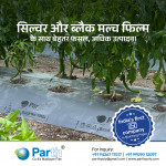 Plastic Film , Plastic Film & Agri mulching film