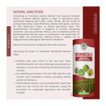 Bio - fertilizer, Seeds, Bio - tech Products