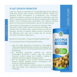 Bio - fertilizer, Seeds, Bio - tech Products