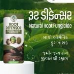 Bio - fertilizer, Seeds, Bio - tech Products