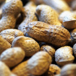 Farming of Groundnut
