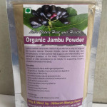 Mango Farm & Organic Products