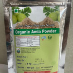 Mango Farm & Organic Products