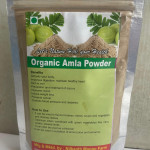 Mango Farm & Organic Products