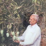 Mango Farm & Organic Products