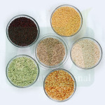International Agro Products Exporters