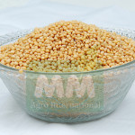 International Agro Products Exporters