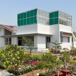 Limer Morter, Plaster, Putty, Primer, Paint