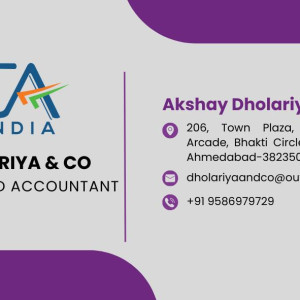 Charted Accountant