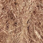 Cattle Feed supplements