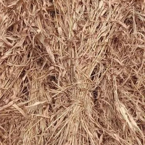 Cattle Feed supplements