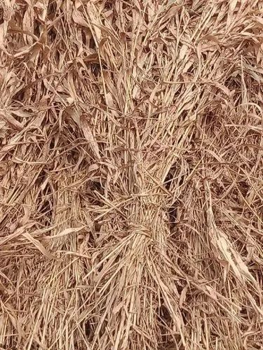 Cattle Feed supplements