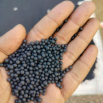 Fertilizer Granules Maker