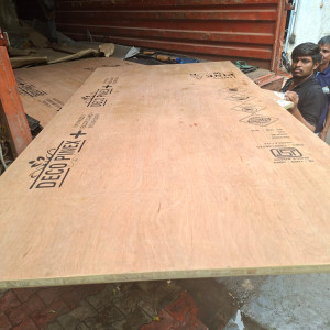 Plywood & Laminate's